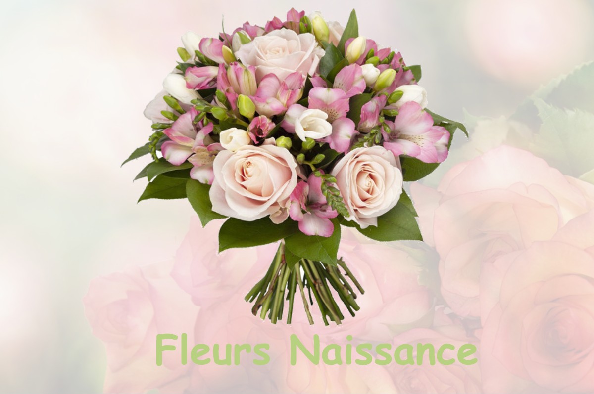 fleurs naissance PLOURIN